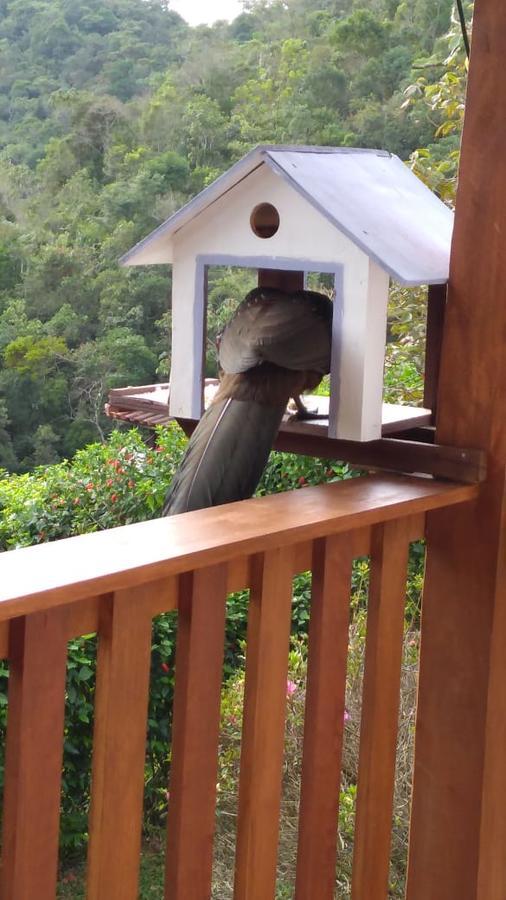 Casa Sossego Da Montanha Villa Visconde De Maua Luaran gambar