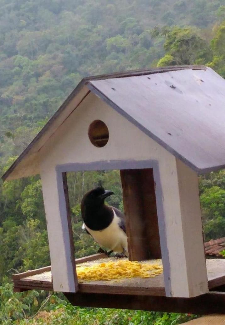 Casa Sossego Da Montanha Villa Visconde De Maua Luaran gambar