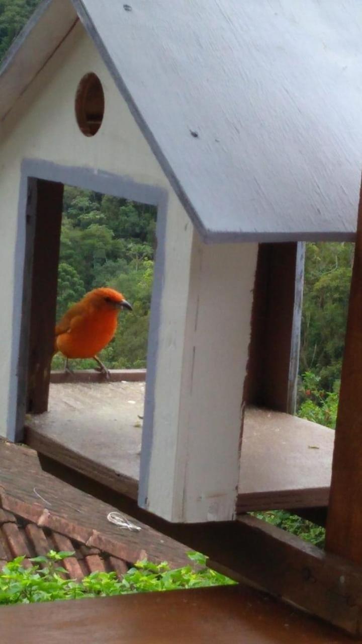 Casa Sossego Da Montanha Villa Visconde De Maua Luaran gambar