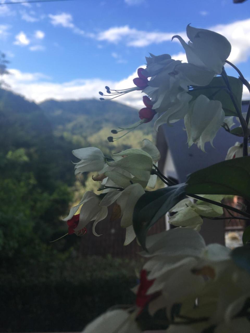 Casa Sossego Da Montanha Villa Visconde De Maua Luaran gambar